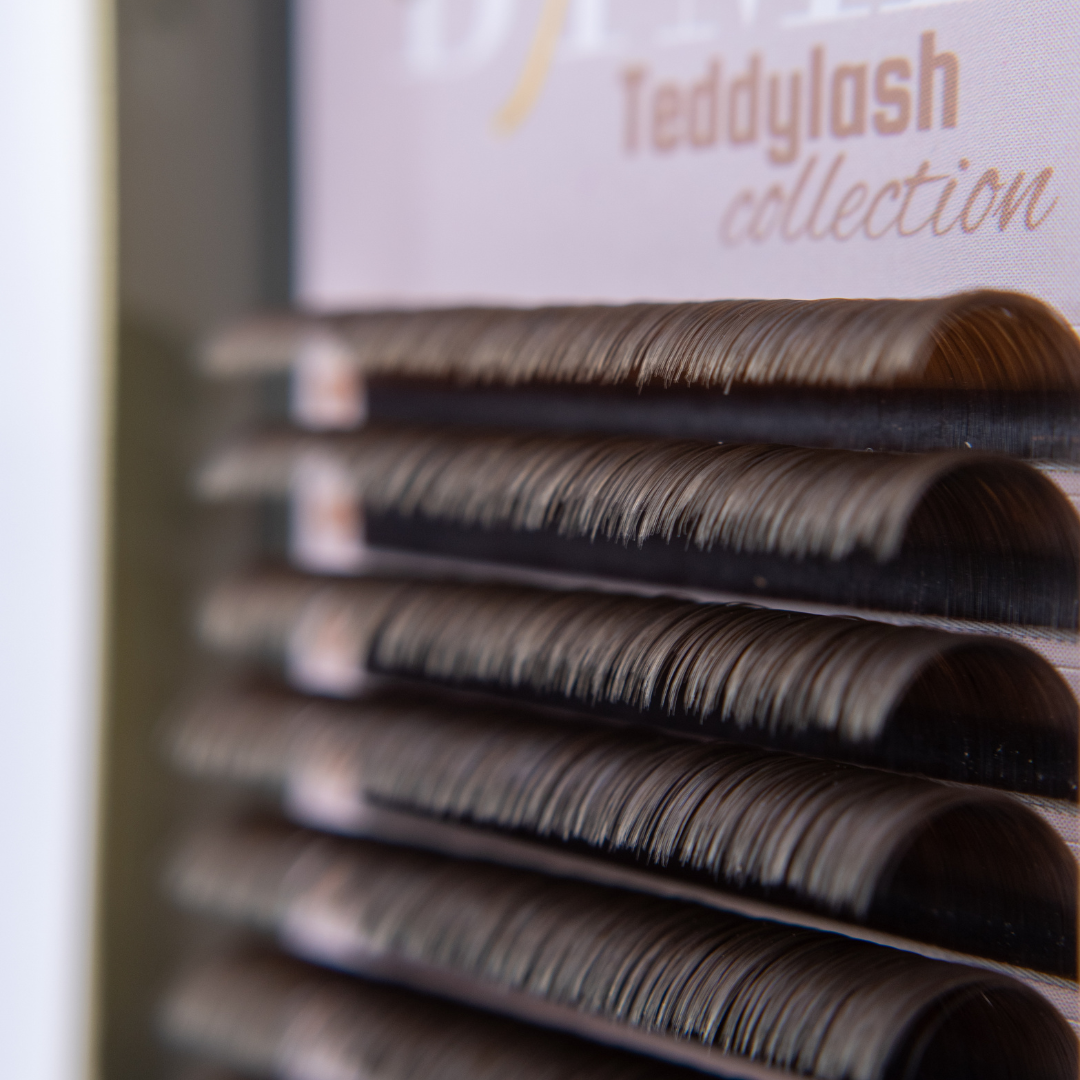 Teddy Lash Collection (Easy fan)